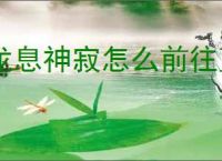 龙息神寂怎么前往蓝橡树,龙息神寂去蓝橡树方法攻略