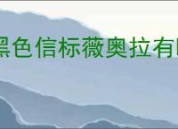 黑色信标薇奥拉有哪些技能,黑色信标薇奥拉属性一览