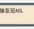 英雄亚冠ACL