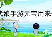 武娘手游元宝用来干什么,武娘元宝使用攻略