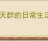 聊天群的日常生活冰蝶队怎么玩,聊天群的日常生活冰蝶队搭配攻略