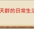 聊天群的日常生活连击队怎么玩,聊天群的日常生活连击队搭配攻略