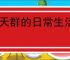聊天群的日常生活击破队怎么玩,聊天群的日常生活击破队搭配攻略