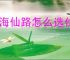 山海仙路怎么选伙伴与灵宠,山海仙路伙伴与灵宠推荐