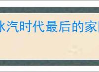 冰汽时代最后的家园前期怎么玩,冰汽时代最后的家园开荒攻略