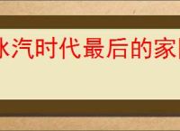 冰汽时代最后的家园零氪选什么产业,冰汽时代最后的家园零氪特色产业选择