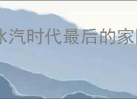 冰汽时代最后的家园先找什么资源,冰汽时代最后的家园资源获取优先级