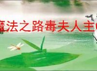 魔法之路毒夫人主C怎么玩,魔法之路毒夫人主C阵容搭配推荐