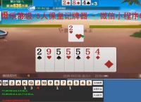 微乐够级/5人保皇记牌器 - 微信小程序电脑版专用，智能算牌 关特效，高手必备辅助