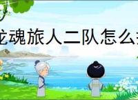 龙魂旅人二队怎么搭配,龙魂旅人旷野二队搭配攻略