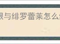 银与绯罗蕾莱怎么组队,银与绯罗蕾莱队伍搭配攻略
