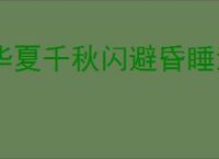 华夏千秋闪避昏睡流怎么玩,华夏千秋闪避昏睡流搭配推荐