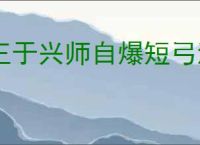 王于兴师自爆短弓流怎么玩,王于兴师自爆短弓流阵容搭配推荐