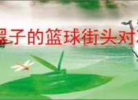 黑子的篮球街头对决2025最新礼包码,黑子的篮球街头对决福利兑换码汇总
