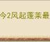 古今2风起蓬莱最新礼包码大全,古今2风起蓬莱2025福利码汇总