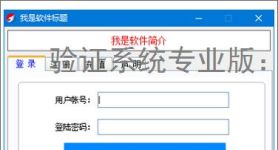 验证系统专业版：多维度软件防护方案解析