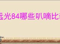 远光84哪些叭嘀比较好用,远光84新手选择推荐