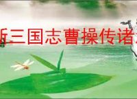 新三国志曹操传诸怎么打困难曹仁,新三国志曹操传困难曹仁阵容推荐
