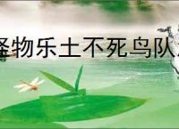 怪物乐土不死鸟队怎么玩,怪物乐土不死鸟队搭配推荐