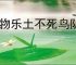 怪物乐土不死鸟队怎么玩,怪物乐土不死鸟队搭配推荐