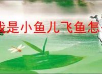 我是小鱼儿飞鱼怎么操作,我是小鱼儿飞鱼玩法指南