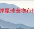 弹弹星球宠物有什么用,弹弹星球怎么获得宠物