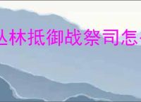 丛林抵御战祭司怎么玩,丛林抵御战祭司装备搭配推荐
