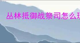 丛林抵御战祭司怎么玩,丛林抵御战祭司装备搭配推荐