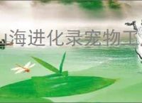 山海进化录宠物工厂怎么放比较好,山海进化录怎么提高宠物工厂产量