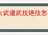 大武道武技绝技怎么选,大武道武技绝技选择推荐