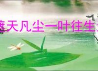 遮天凡尘一叶往生渔猎怎么玩,遮天凡尘一叶往生渔猎活动攻略