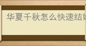 华夏千秋怎么快速结婚生子,华夏千秋结婚生子速成指南