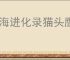 山海进化录猫头鹰怎么进化,山海进化录猫头鹰卡等级怎么办