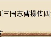 新三国志曹操传四象白虎第三关怎么过,新三国志曹操传四象白虎第三关阵容