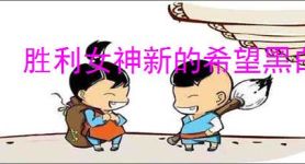 胜利女神新的希望黑白兔怎么配队,胜利女神新的希望双兔国家队搭配