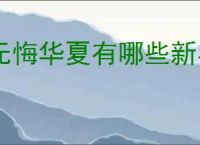 无悔华夏有哪些新名臣政策,无悔华夏全新名臣政策一览