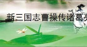 新三国志曹操传诸葛亮带什么星符,新三国志曹操传诸葛亮星符搭配