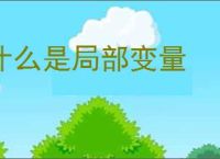 什么是局部变量