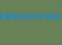 VB里面的命令按钮是什么?