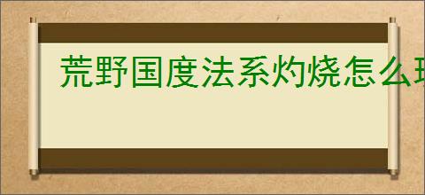 荒野国度法系灼烧怎么玩,荒野国度法系灼烧队搭配攻略