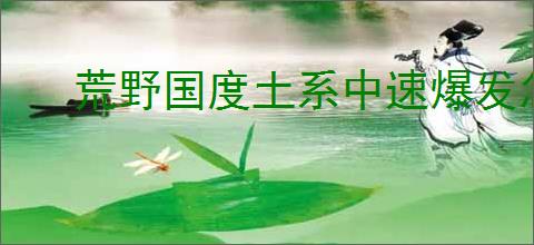 荒野国度土系中速爆发怎么玩,荒野国度土系中速爆发队搭配攻略