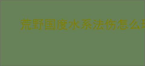 荒野国度水系法伤怎么玩,荒野国度水系法伤队搭配攻略