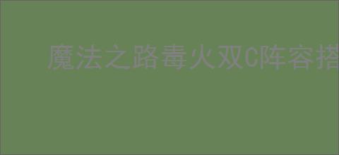 魔法之路毒火双C阵容搭配,魔法之路毒火双C阵容开荒攻略