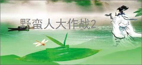 野蛮人大作战2