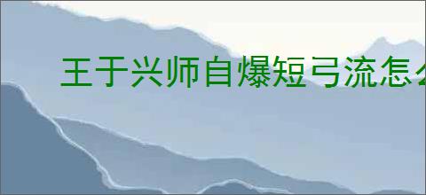 王于兴师自爆短弓流怎么玩,王于兴师自爆短弓流阵容搭配推荐