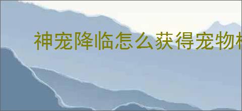 神宠降临怎么获得宠物核心,神宠降临宠物经验获取途径