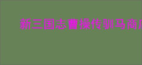新三国志曹操传驯马商店换什么好,新三国志曹操传驯马商店物品推荐