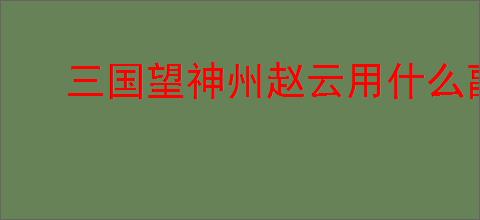三国望神州赵云用什么副将好,三国望神州赵云副将选择攻略