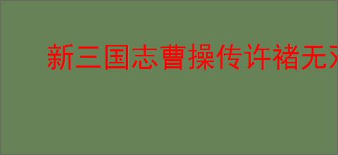 新三国志曹操传许褚无双试炼5怎么过,新三国志曹操传许褚试炼5打法