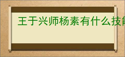 王于兴师杨素有什么技能,王于兴师杨素技能机制一览